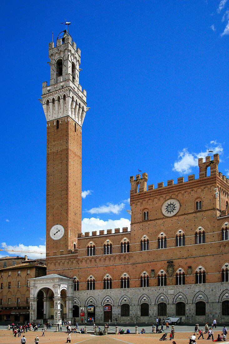 Piazza del Campo with Torre del Mangia, Siena, Tuscany, Italy
