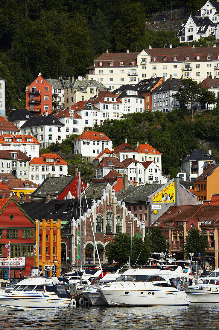 Harbour at Bryggen, Bergen, Hordaland, Norway