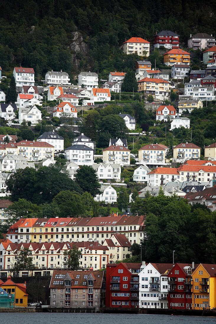 Houses over hillside beside fiord, Bergen, Hordaland, Norway