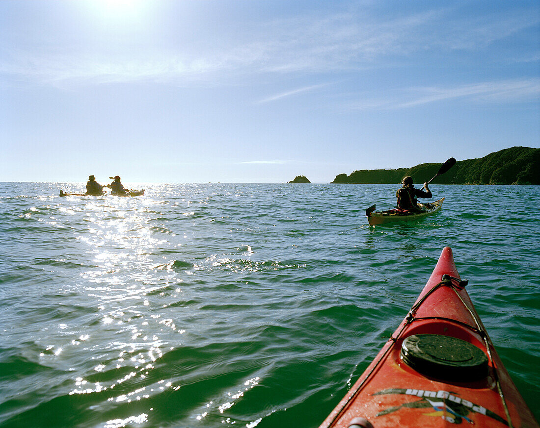 Seakajaking, Menschen in Kajaks im Sonnenlicht in der Torrent Bay, Abel Tasman Nationalpark, Nordküste, Südinsel, Neuseeland