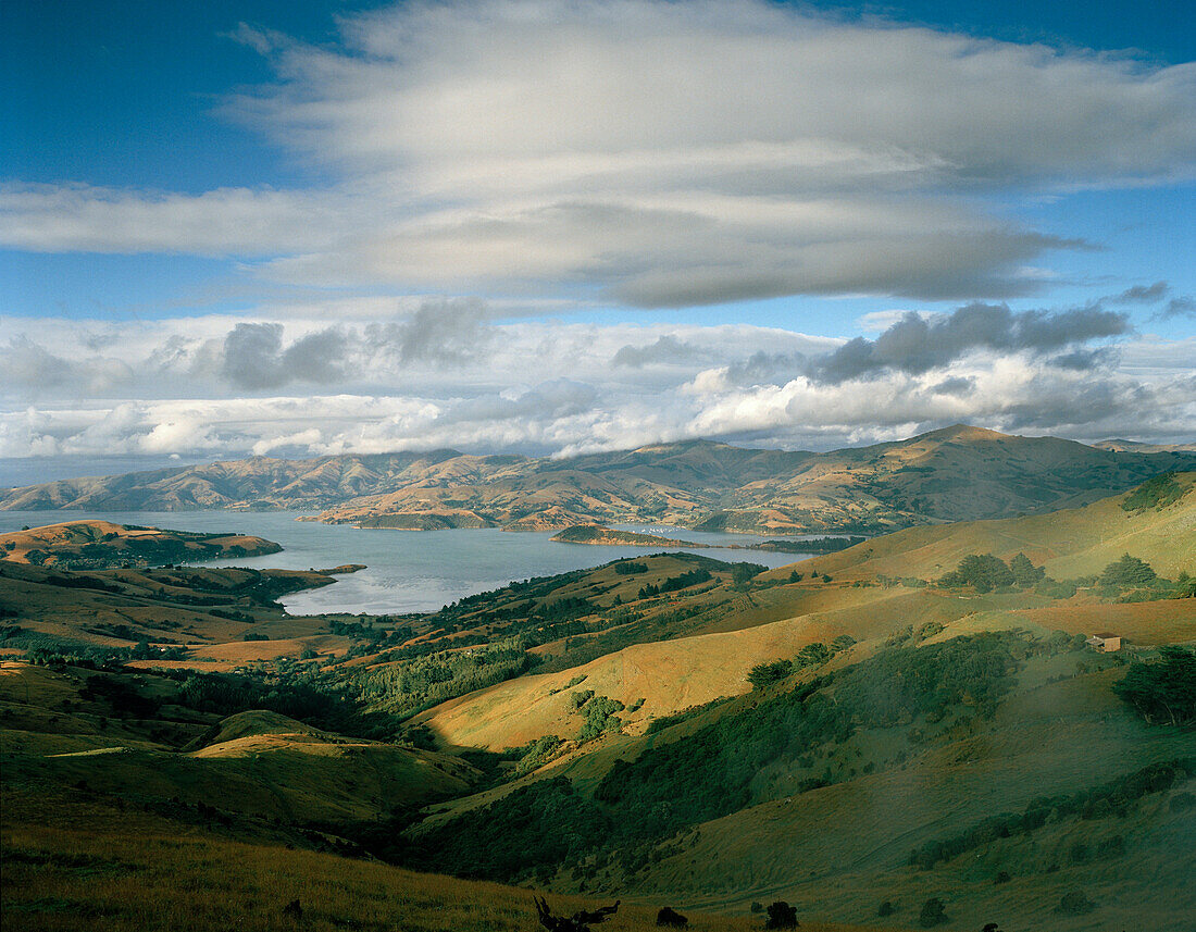 View over pasture and the bay Akaroa Harbour under clouded sky, Banks Peninsula, South Island, New Zealand