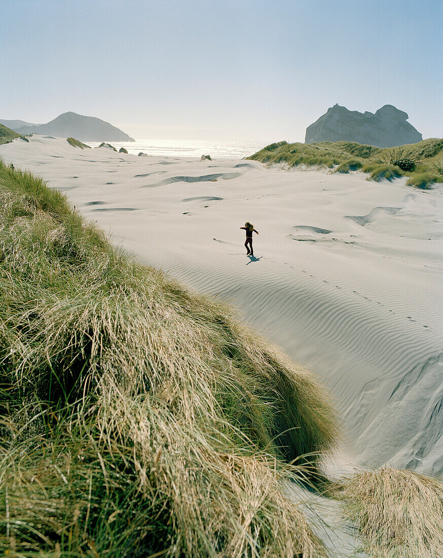 Child walking over wandering dunes at Wharariki beach, northwest coast, South Island, New Zealand