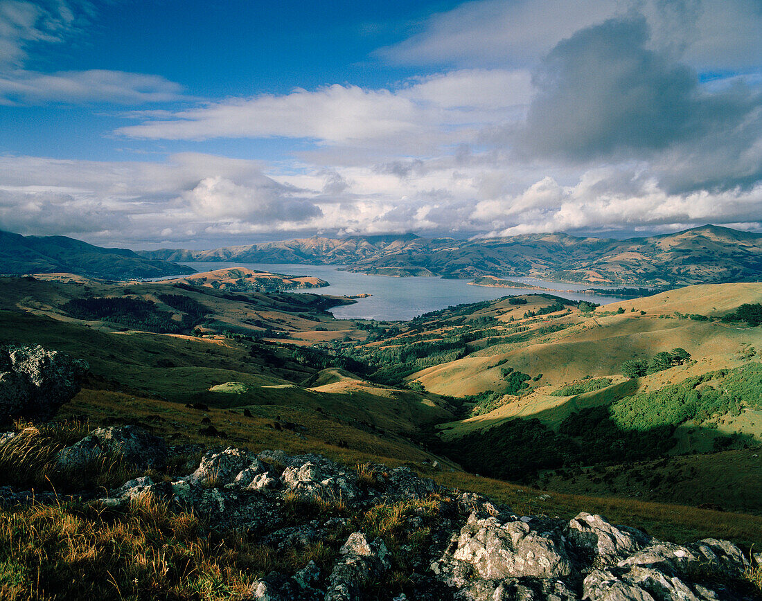 View over pasture and the bay Akaroa Harbour under clouded sky, Banks Peninsula, South Island, New Zealand