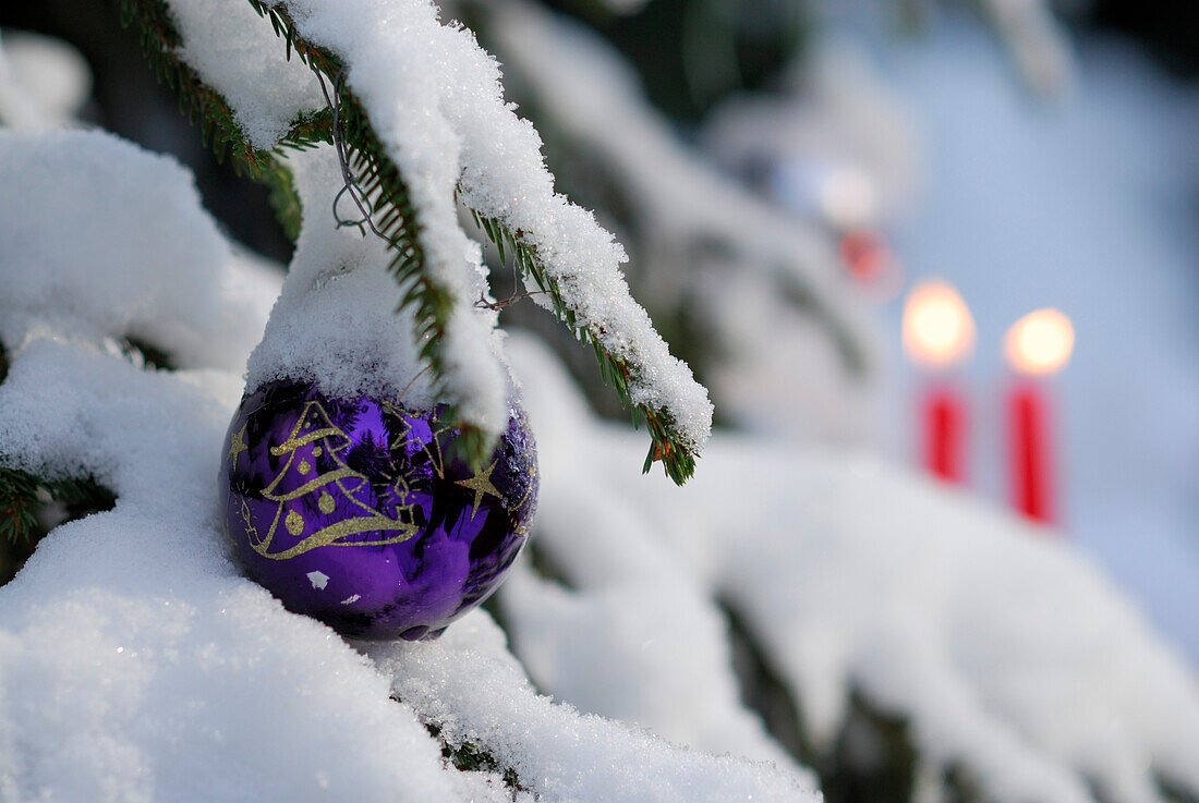 Christbaumkugel hängt an verschneitem Weihnachtsbaum mit brennenden Kerzen im Hintergrund