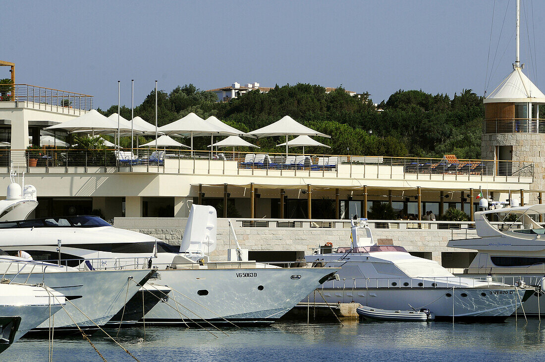 Jachten im Hafen im Sonnenlicht, Porto Cervo, Costa Smeralda, Nord Sardinien, Italien, Europa