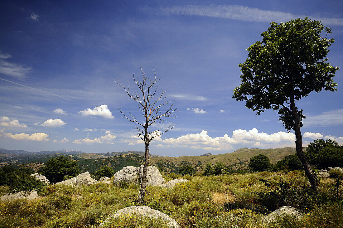 Landscape at Monte Spada under clouded sky, Gennargentu mountains, Sardinia, Italy, Europe