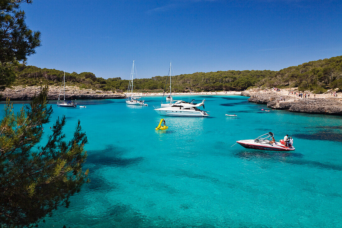 Segelyachten ankern in der Bucht s'Amarador unter blauem Himmel, Cala Mondragó, Mallorca, Balearen, Mittelmeer, Spanien, Europa