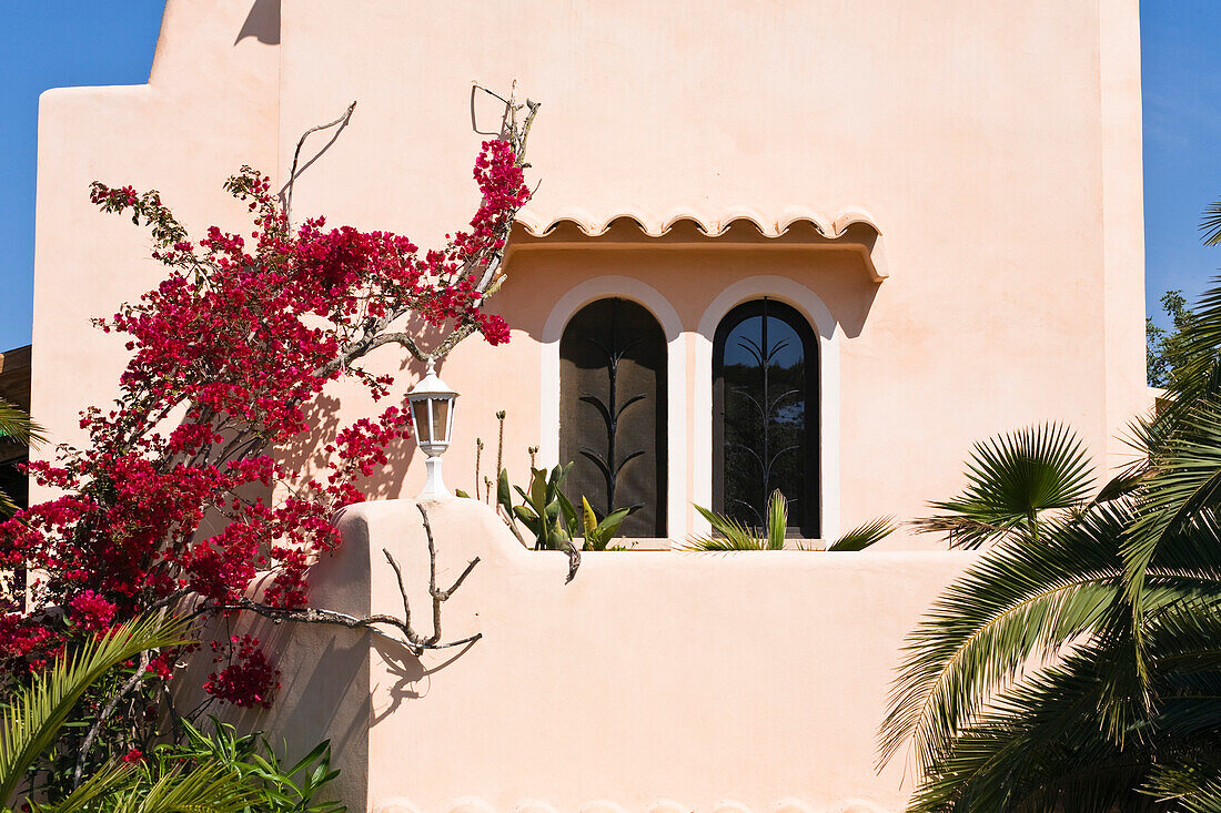 House with bougainvillea in the sunlight, Mallorca, Balearic Islands, Mediterranean Sea, Spain, Europe