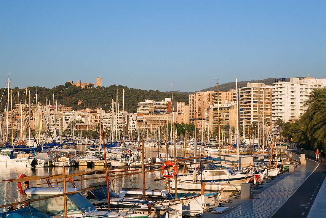 Marina in the sunlight, Palma, Mallorca, Balearic Islands, Mediterranean Sea, Spain, Europe