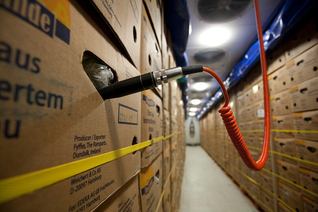 Temperature measurement in a banana box inside a colling chamber, Hamburg, Germany