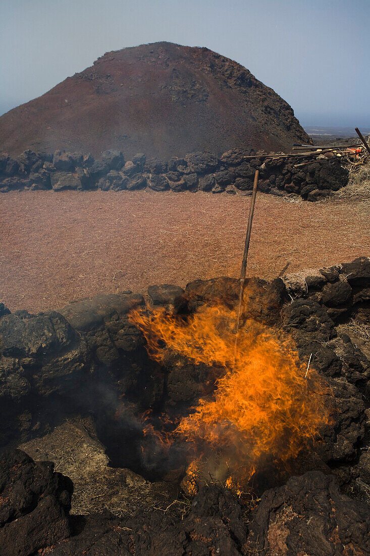 Demonstration of fire by volcanic heat with brushwood, Parque Nacional de Tiimanfaya, Montanas del Fuego, UNESCO Biosphere Reserve, Lanzarote, Canary Islands, Spain, Europe