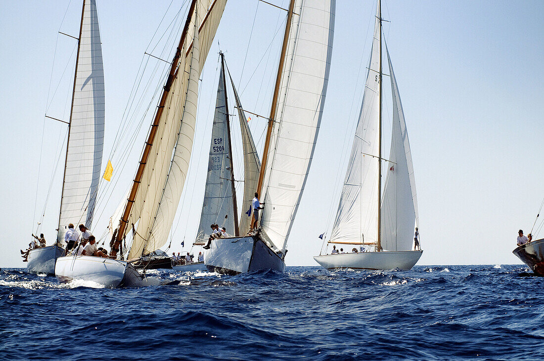 Ancient, Balearic, Balearic Islands, Barco, Barcos, Boat, Boat race, Boat races, Boats, Bow, Cabos, Calm, Calmness, Chill out, Chilling out, Classic, Color, Colour, Compete, Competición, Competing, Competition, Competitions, Contemporary, Day, Daytime, De