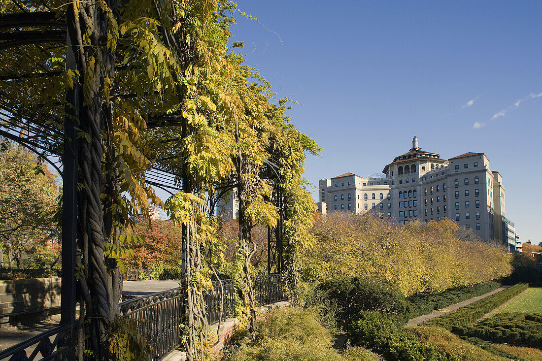 ARBOR CONSERVATORY GARDEN CENTRAL PARK MANHATTAN NEW YORK USA