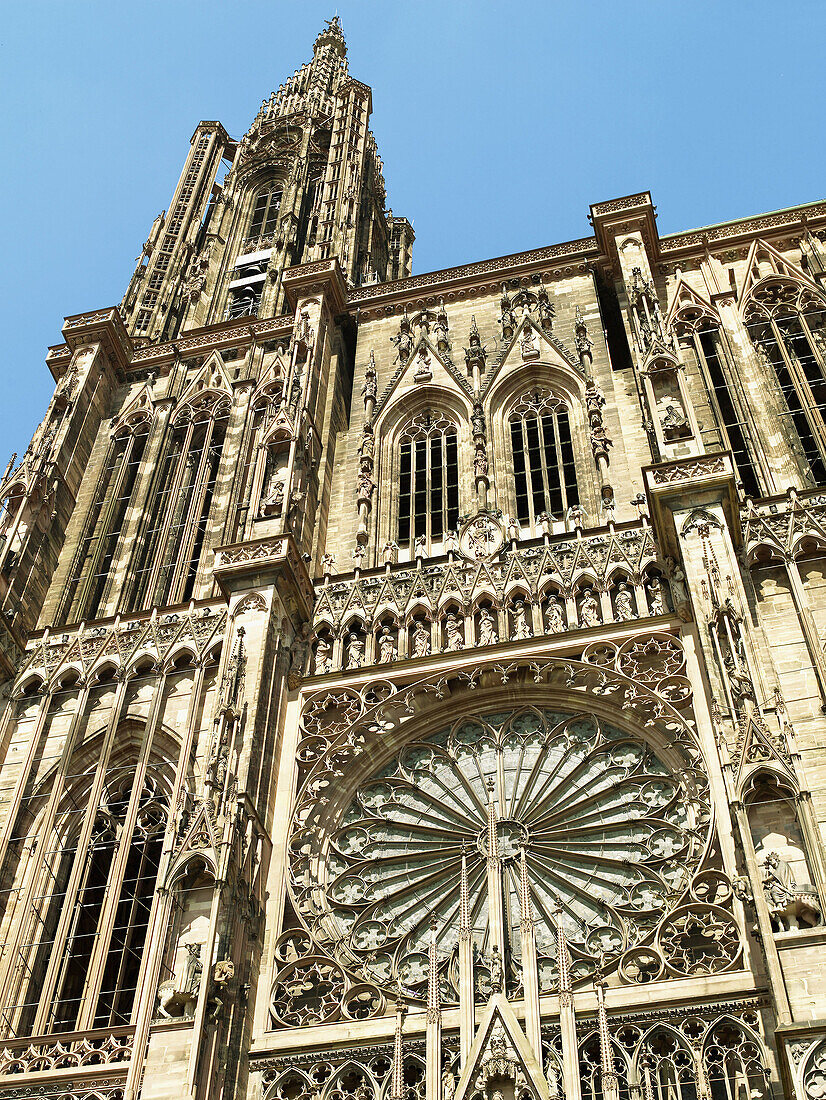 Notre Dame Gothic cathedral (14th century),  Strasbourg. Alsace,  France