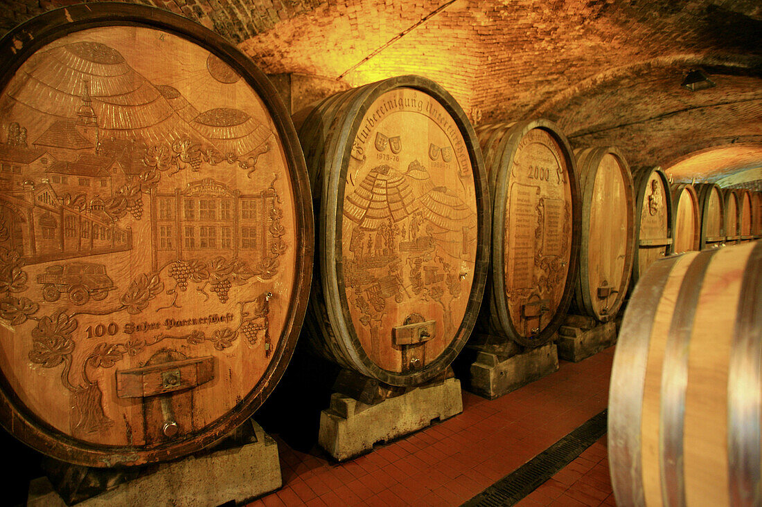 Wine cellar,  Stuttgart. Baden-Württemberg,  Germany