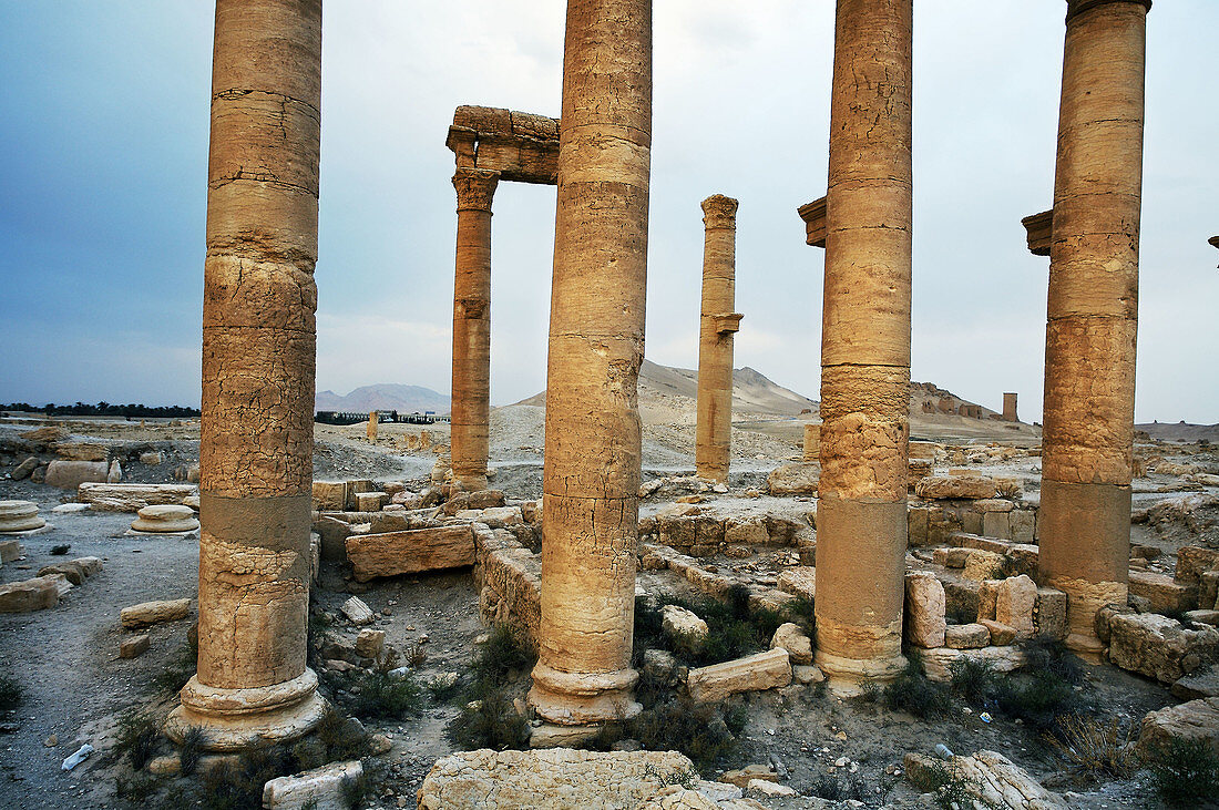Ruins of the old Greco-roman city of Palmyra,  Syria