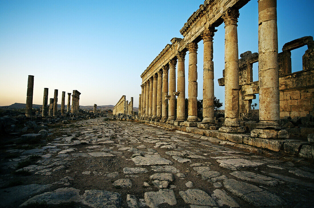 Ruins of the ancient Roman city of Apame,  Syria