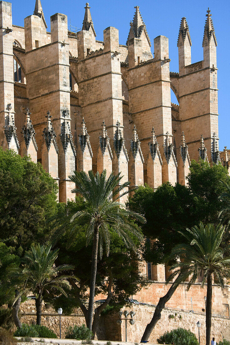 Mallorca,  Palma de Mallorca,  Catedral,  La  Seu