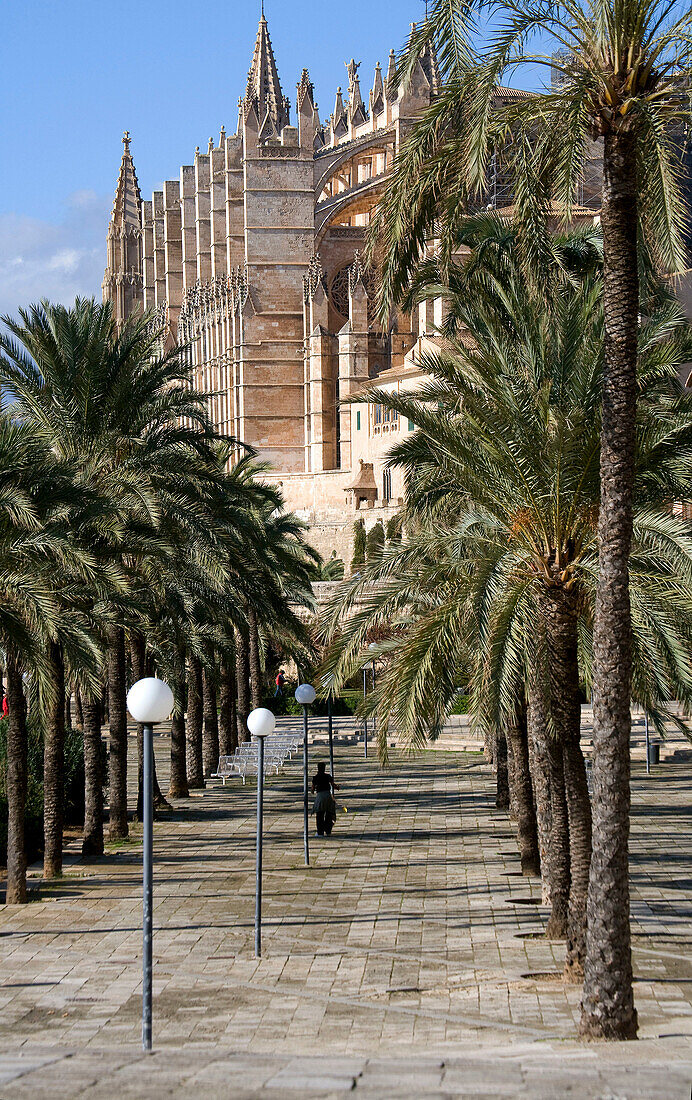 Mallorca,  Palma de Mallorca,  Catedral,  La  Seu