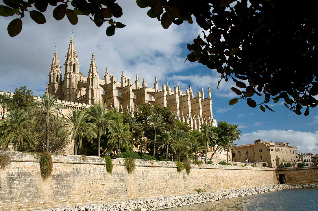 Balearic Island. Spain. Mallorca. The cathedral of La Seo