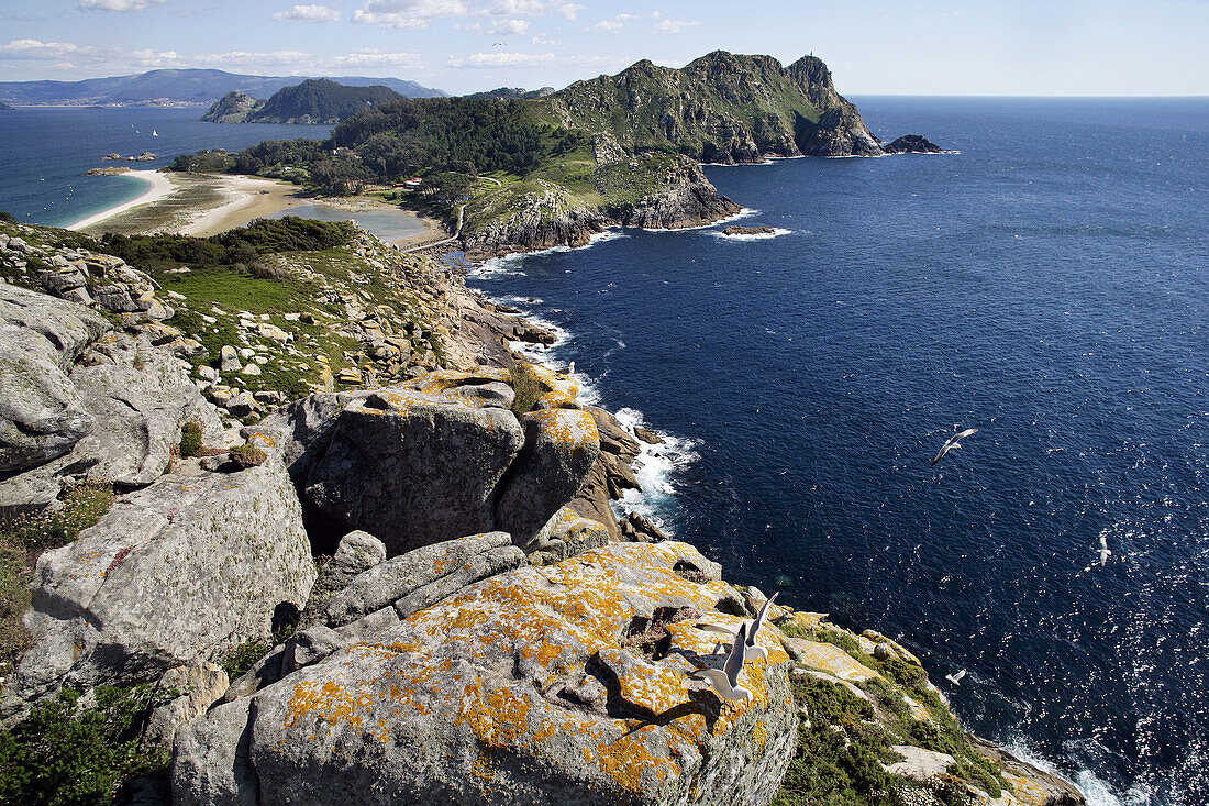 Cies islands,  Atlantic Islands National Park,  Galicia,  Spain