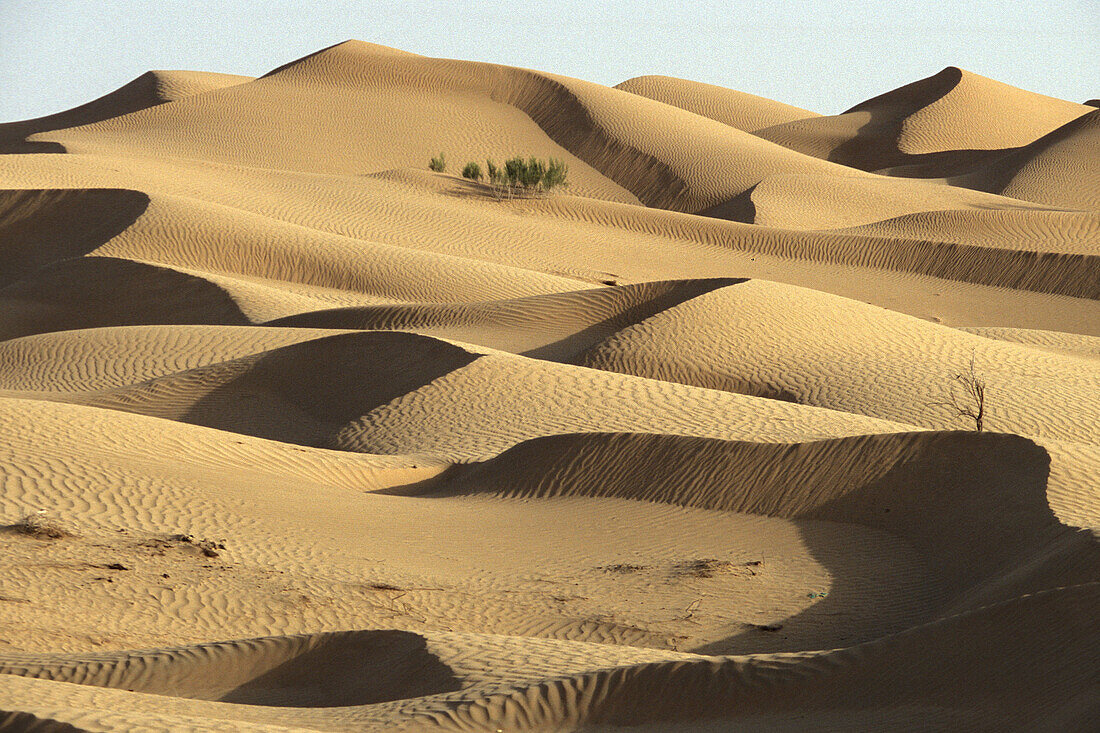 Sand dunes,  Rub´ al Khali (´Empty Quarter´ in English) great sand desert,  Oman,  Arabian Peninsula
