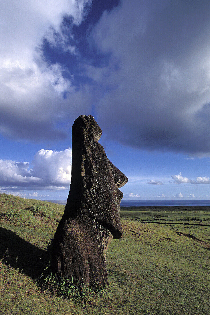 Moai at Ranu Raraku volcano. Rapa Nui National Park,  Easter island,  Polynesia,  Chile
