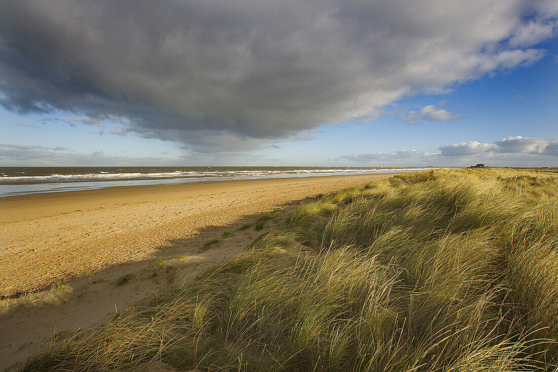 RSPB Titchwell Nature Reserve Norfolk UK December