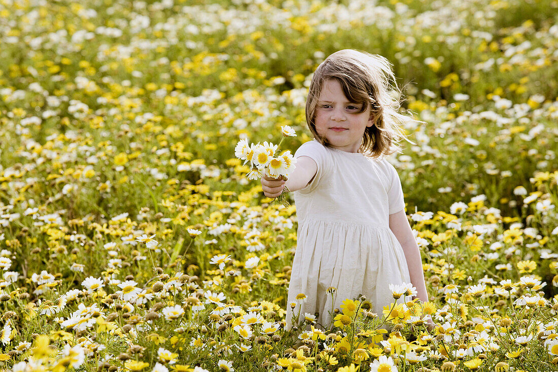 Bouquet, Bouquets, Caucasian, Caucasians, Child, childhood, Children, Color, Colour, Contemporary, Country, Countryside, Daytime, exterior, Female, Flower, Flowers, Girl, Girls, Give, Giving, Grass, Grasses, Grassland, Grasslands, Hold, Holding, human, in
