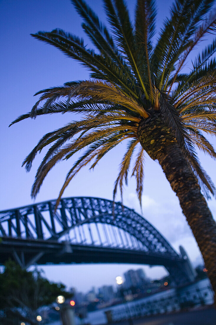 Australia - New South Wales (NSW) - Sydney: Sydney Harbour Bridge at dawn (defocussed)