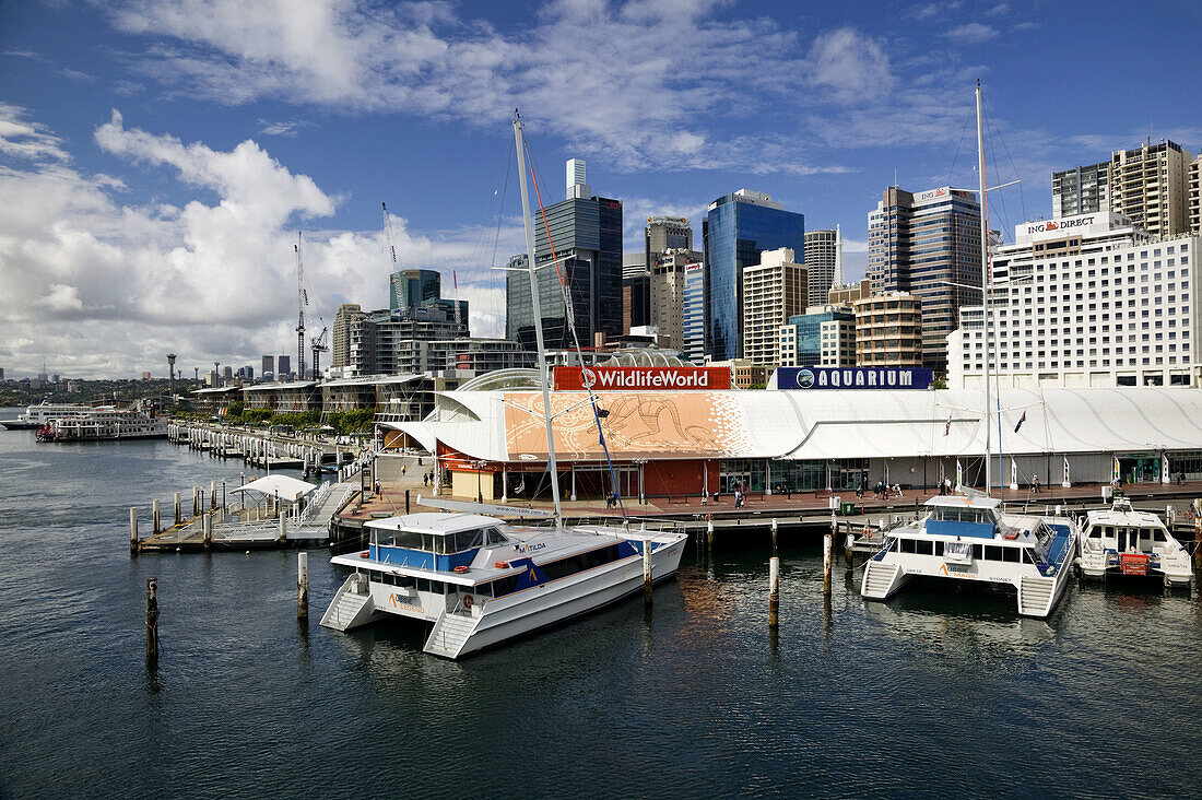 AUSTRALIA - New South Wales (NSW) - Sydney: City Skyline from Darling Harbour
