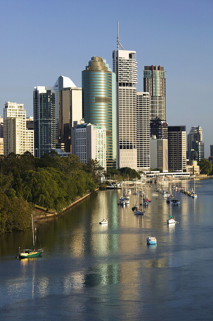 Australia - Queensland - Brisbane: Central Business District viewed from Kangaroo Point in the morning