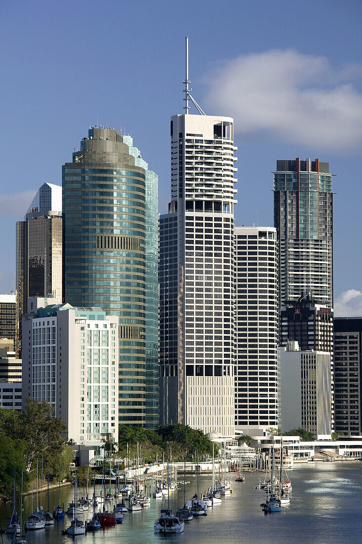 Australia - Queensland - Brisbane: Central Business District viewed from Kangaroo Point in the morning