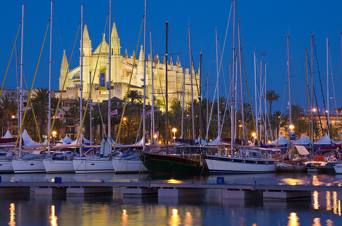 Cathedral and marina at night,  Palma,  Mallorca,  Spain
