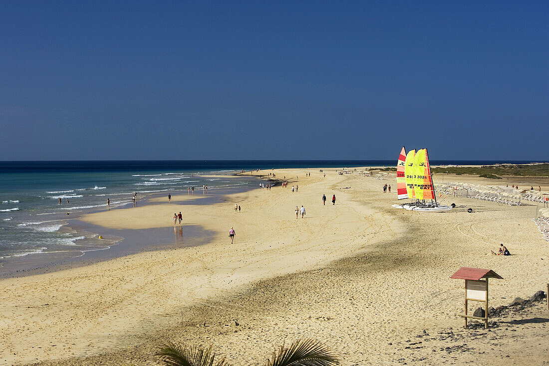 Fuerteventura, Kanarische Inseln, Spanien