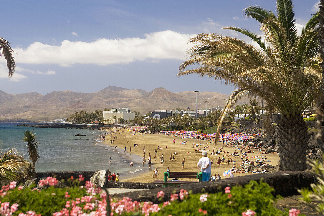 Puerto del Carmen,  Lanzarote,  Canary Islands,  Spain