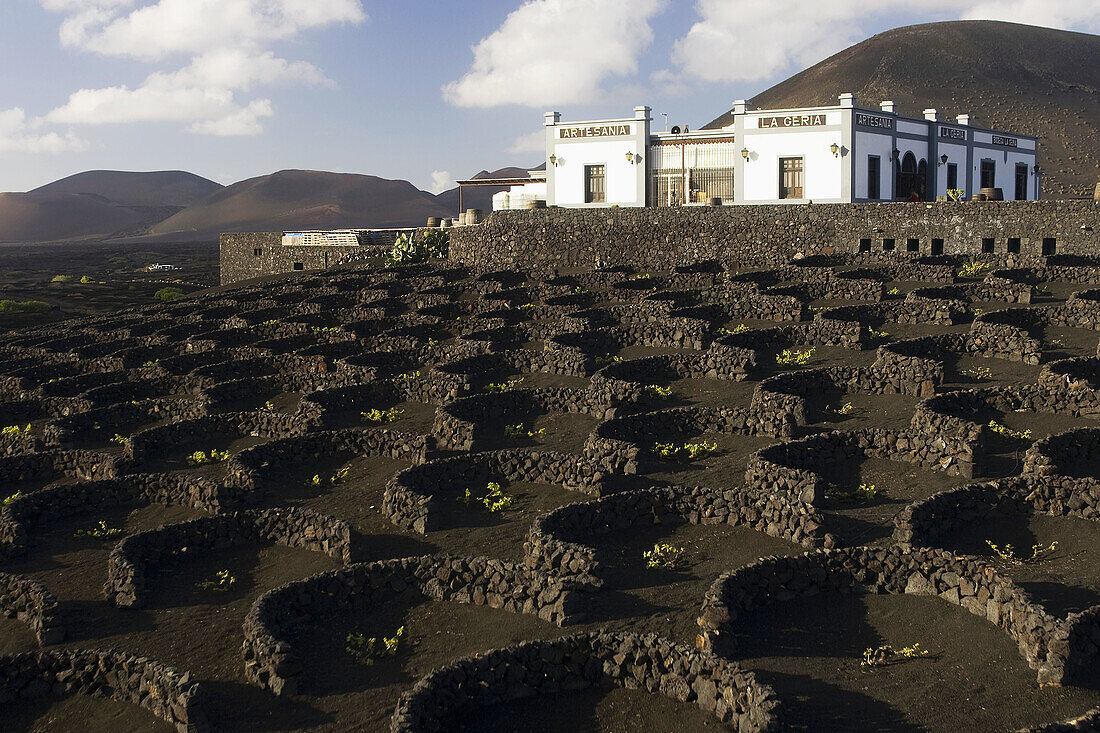 La Geria,  Lanzarote,  Canary Islands,  Spain