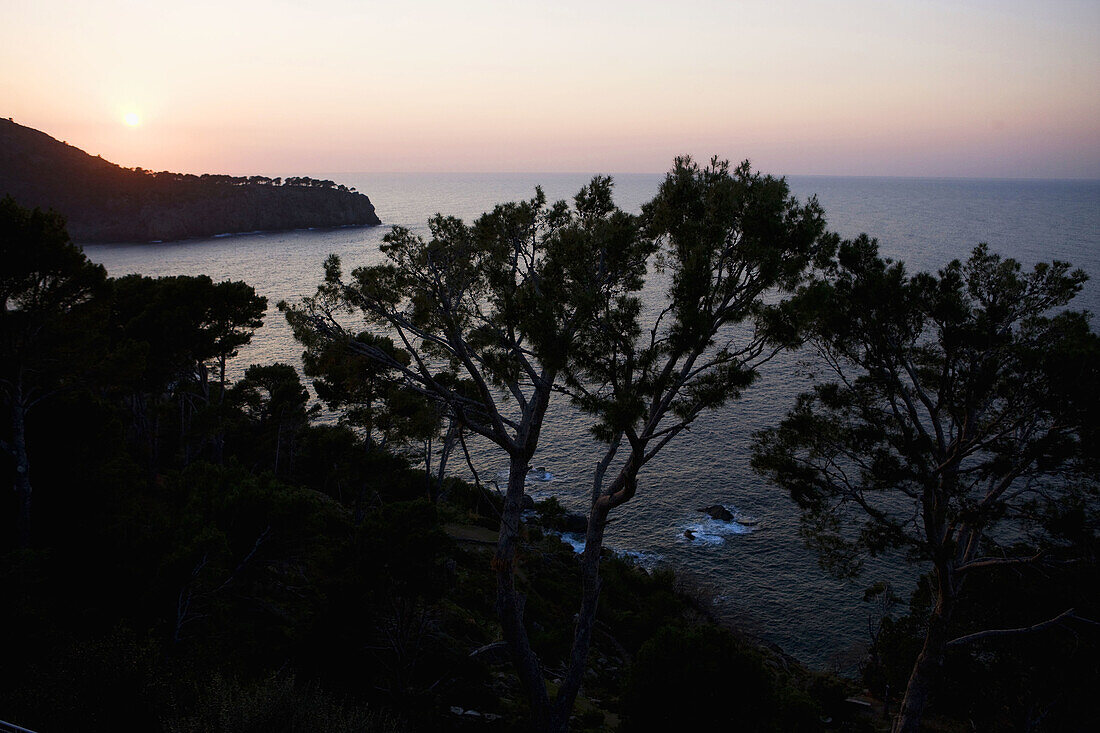 Mallorca,  Balearic Islands,  Spain