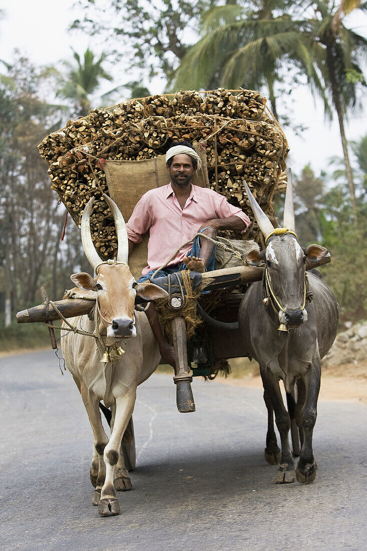 Kerala, Indien