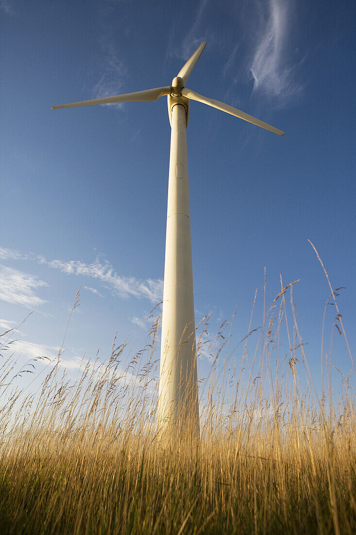 Wind turbine in Denmark