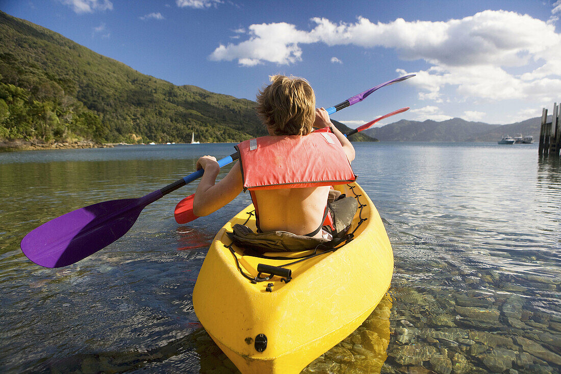 Endeavour Inlet,  Marlborough Sound,  South Island,  New Zealand