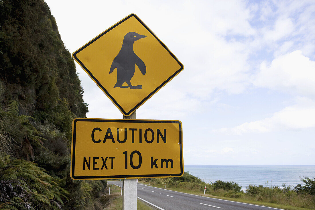 Penguin Crossing,  South Island,  New Zealand