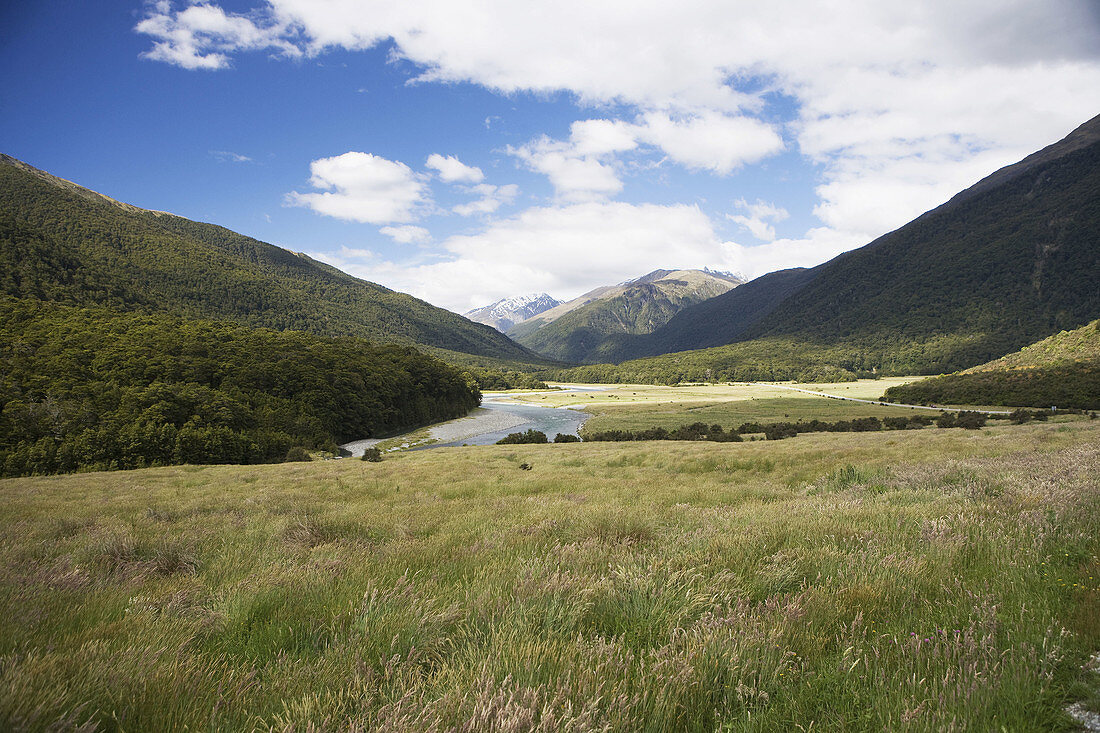 Makarora Fluss, Aspiring National Park, Südinsel, Neuseeland