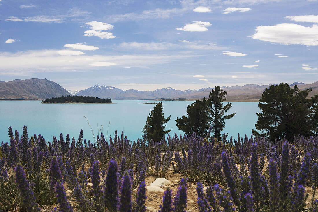 Mt Cook, Pukaki-See, Südinsel, Neuseeland