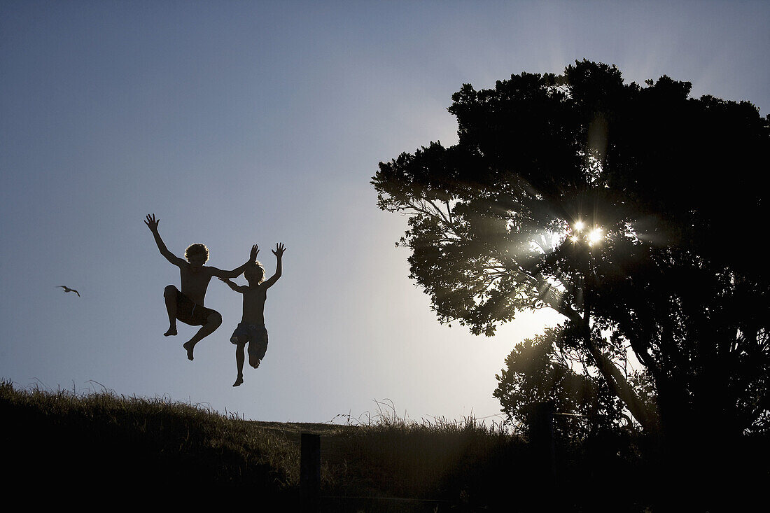 Boy, Boys, Color, Colour, Contemporary, Cool, Countryside, Jump, Jumping, Leap, Leaping, Light, Maunganui, New Zealand, North island, Ray, Rays, Silhouette, Sun, Sunlight, Teen, Teenager, Teenages, Tree, Two, F57-872478, agefotostock 