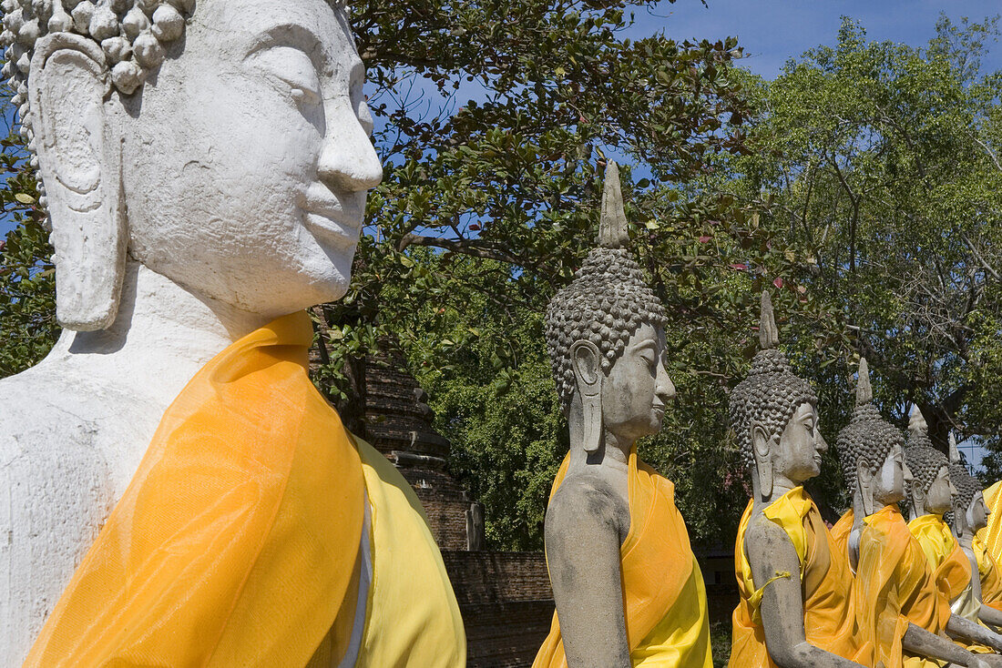View at Buddha statues wearing monks' robes at Wat Yai Chai Mongkhon, Ayutthaya, Province Ayutthaya, Thailand, Asia