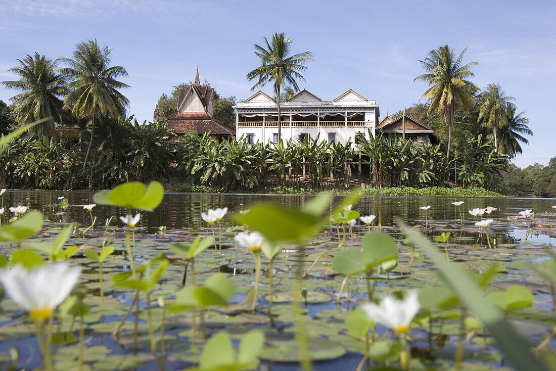 Teich mit Seerosen vor dem Bakong Tempel, Provinz Siem Reap, Kambodscha, Asien