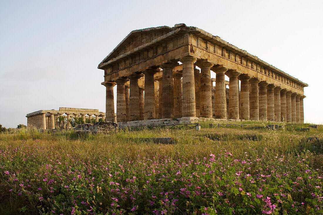 Temple of Hera, dedicated to Poseidon, UNESCO  World Cultural Heritiage, Paestum, Cilento, Italy