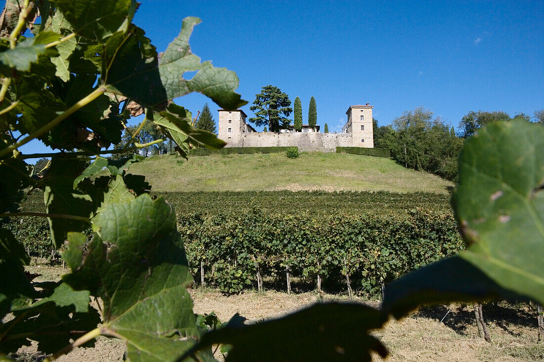 Azienda Agricola Liven, Friuli-Venezia Giulia, Italy