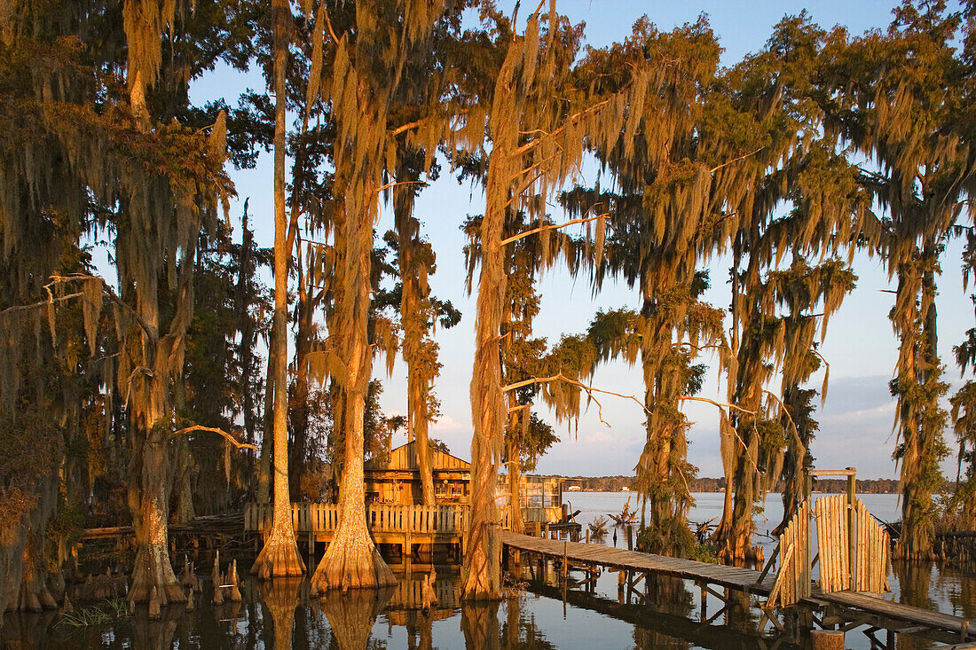 Wochenendhäuser bei Attakapas Landing am Lake Verret, bei Pierre Part, Louisiana, Vereinigte Staaten, USA